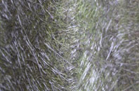 Hangersley fibreglass roof work